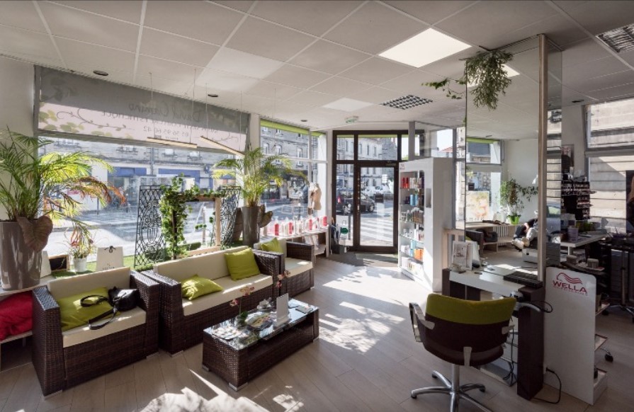 salon david camino coiffeur visagiste bordeaux