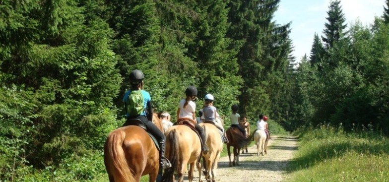 Balade à poney pour les enfants à Rognac