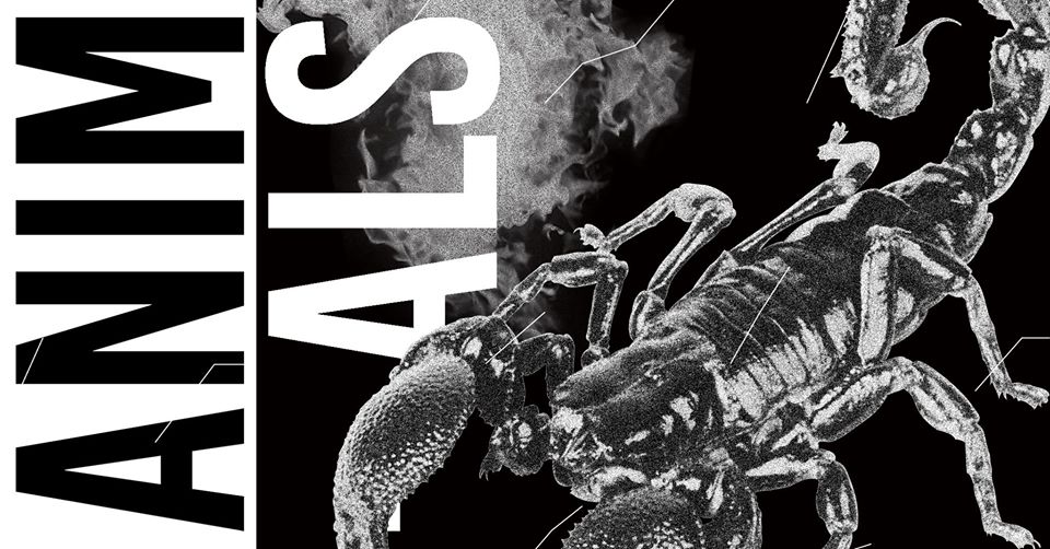 Soirée House to Techno Animals au Chapiteau