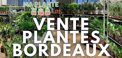 Grande Vente de Plantes avec MaPlante à Bordeaux – Mars 2025