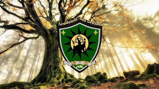 académie des druides mystic woods park langon