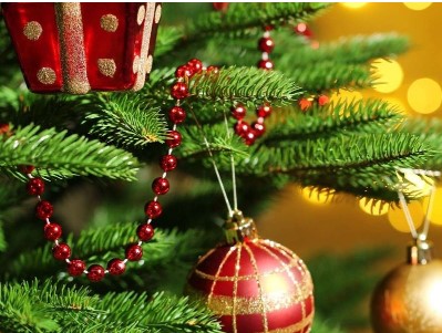 marche noel green market 2024 bordeaux