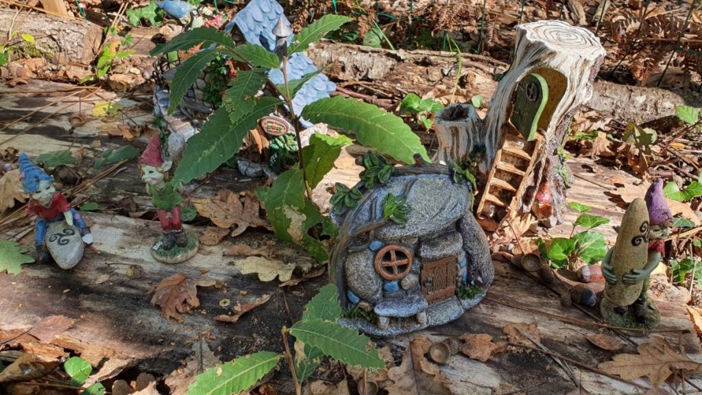 petite maisonette au parc aventures mystic woods park langon près de bordeaux en gironde