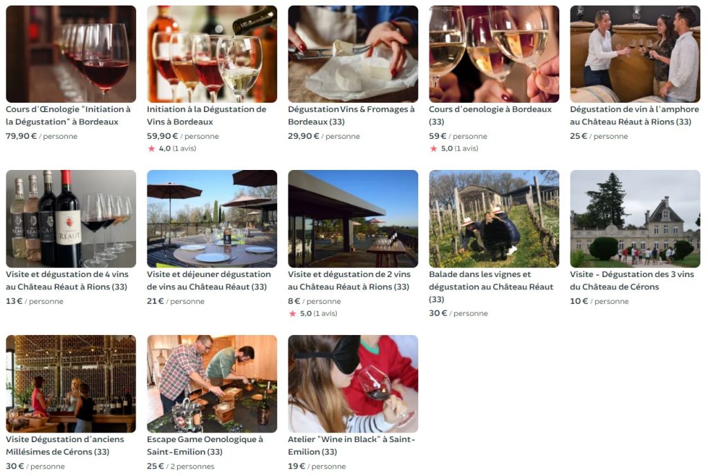 visite-chateau-dégustation de vins, cours d'oenologie sur Bordeaux et en Gironde