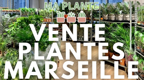 Vente Plantes Marseille avec MaPlante – Avril 2024