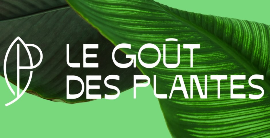 Vente de Plantes – Le Goût des plantes à Marseille