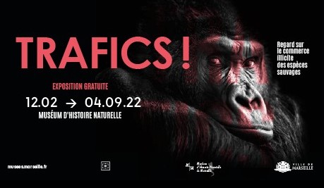 Exposition « Trafics ! Regard sur le commerce illicite des espèces sauvages » au Palais Longchamp