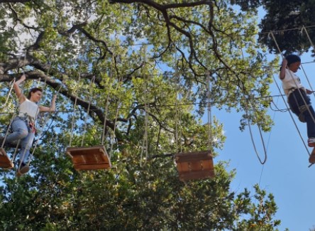 parc accrobranche à Saint Jerome dans le 13ème à marseille