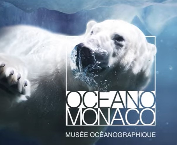 Visite des Aquariums et du Musée océanographique de Monaco – Billet coupe-file