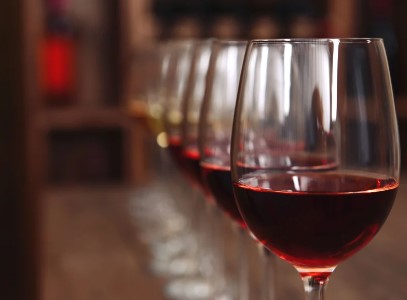 Atelier initiation à la dégustation de vins dans le 7ème arrondissement de Lyon