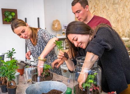 Atelier terrarium à Caluire-et-Cuire près de Lyon