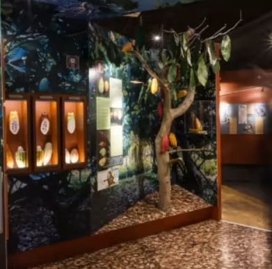 Choco-Story : Plongez dans l’univers fabuleux du chocolat au Musée du Chocolat à Paris