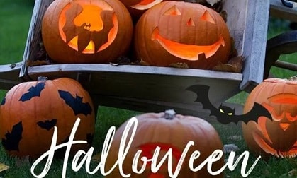 Atelier enfant “Je crée ma citrouille d’Halloween” chez Truffaut Batignolles - 75017 Paris - A partir de 6 ans