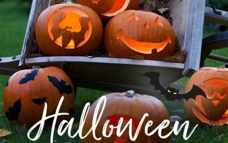Atelier pour enfants "Je crée ma citrouille d'halloween" chez Truffaut à Bordeaux - A partir de 7 ans