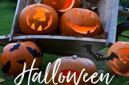 Atelier enfant "création d'une citrouille d'Halloween" - 31130 Balma - A partir de 6 ans