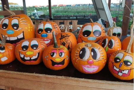 Atelier enfant "Cueillette et création d'une citrouille d'Halloween" - A Montigny en Cambrésis (59225) OU Férin (59169) OU Seclin (59113) - De 4 à 12 ans