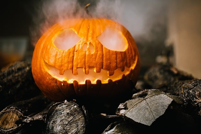 Où fêter Halloween 2024 à Lille ? Activités, idées, loisirs, soirées… On vous dit tout !