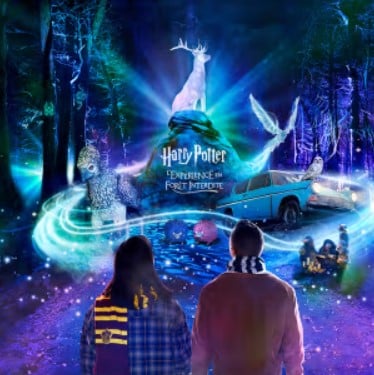 Balade immersive "Harry Potter, la Forêt interdite" - Lieu : Jardin des Plantes de Montauban (51km de Toulouse) - Tout public