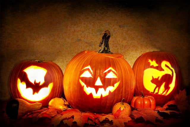 Où fêter Halloween 2024 à Lyon ? Activités, idées, loisirs… On vous dit tout !