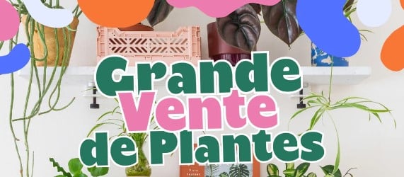Grande Vente de Plantes à Toulouse