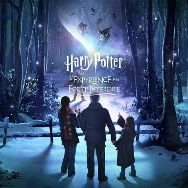 Plongez dans l’Univers de Harry Potter à Montauban